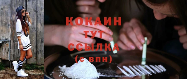 дживик Алзамай