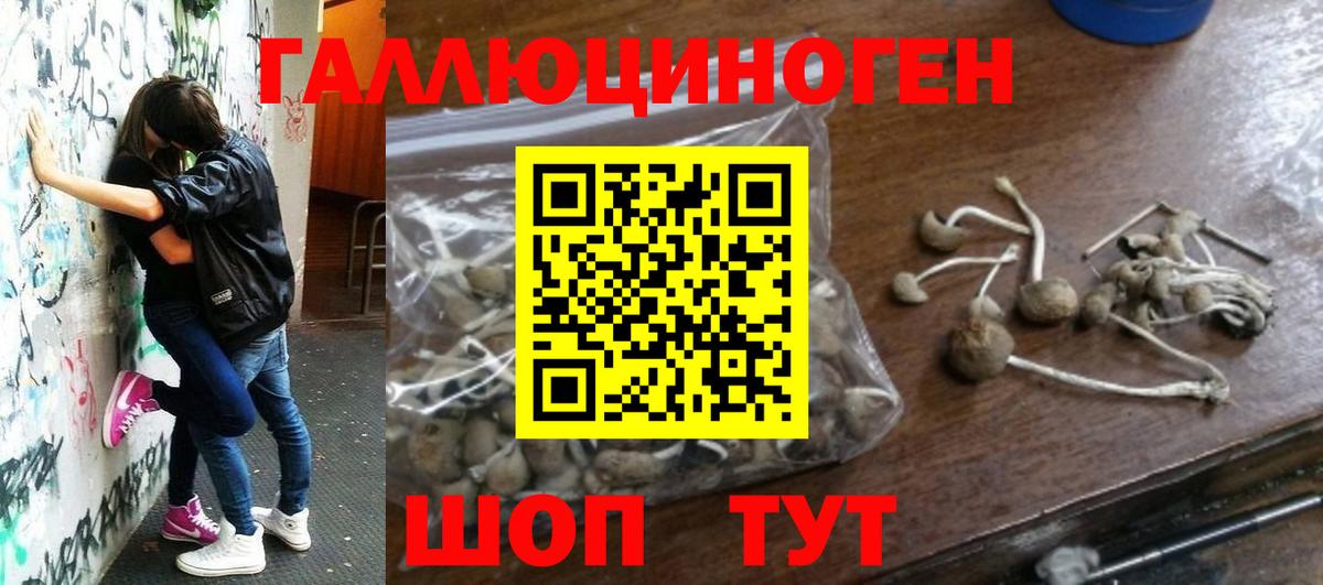 Псилоцибиновые грибы GOLDEN TEACHER Подольск
