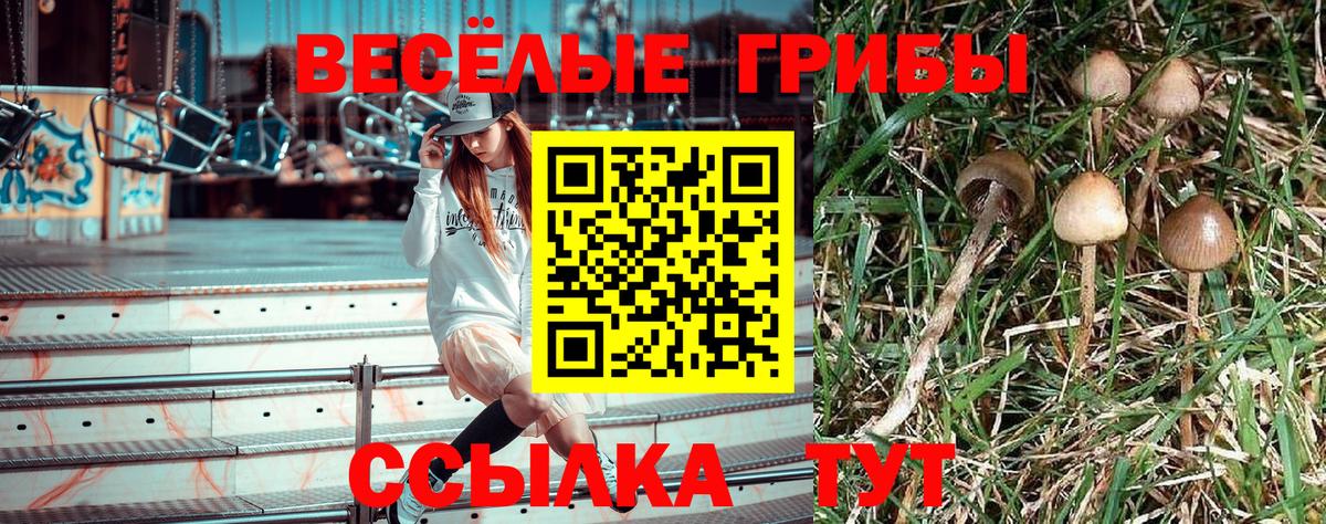 Подольск  Псилоцибиновые грибы прущие грибы  Вход с VPN 
